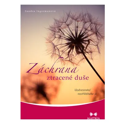 Záchrana ztracené duše