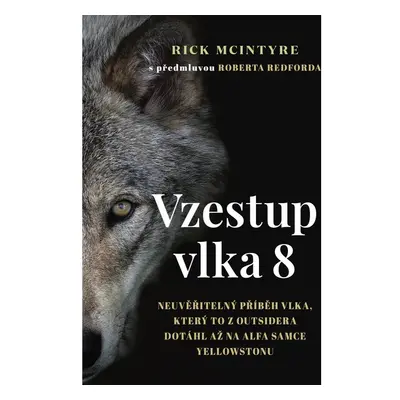 Vzestup vlka 8