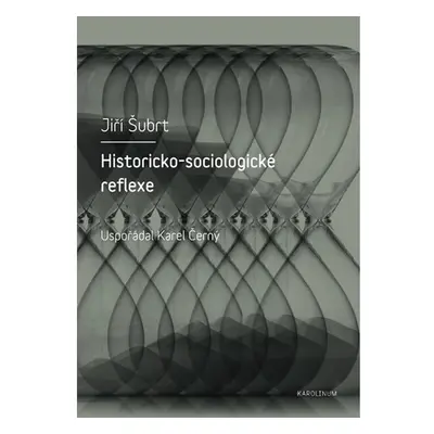 Historicko-sociologické reflexe