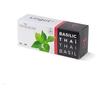 Véritable Lingot Thajská bazalka BIO