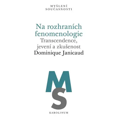 Na rozhraních fenomenologie