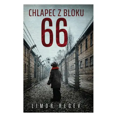 Chlapec z bloku 66