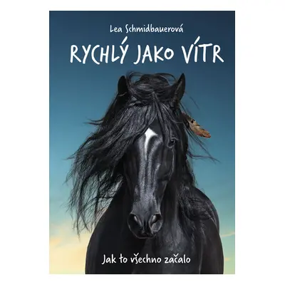 Rychlý jako vítr: Jak to všechno začalo