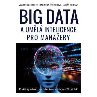 BIG DATA a umělá inteligence pro manažery