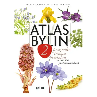 Atlas bylin 2