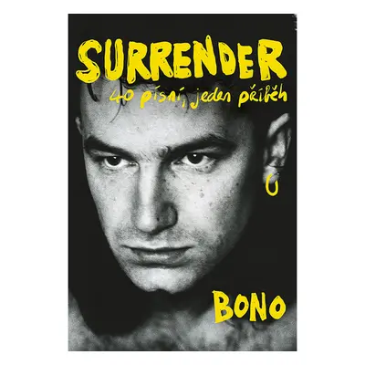 Surrender: 40 písní, jeden příběh