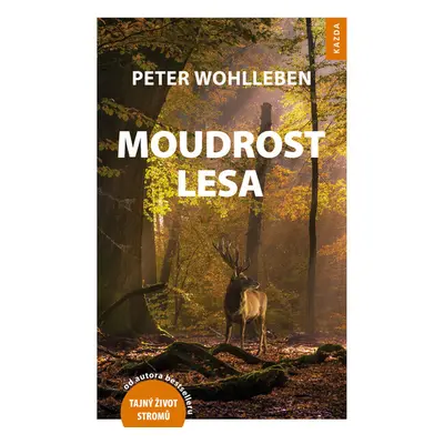 Moudrost lesa