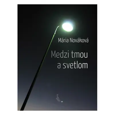 Medzi tmou a svetlom