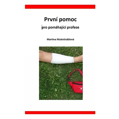 První pomoc pro pomáhající profese