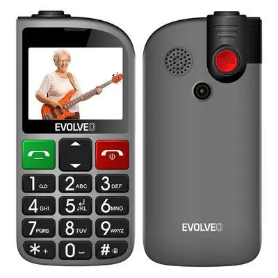 EVOLVEO EasyPhone FL Stříbrná