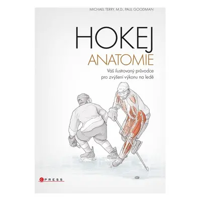 Hokej - anatomie