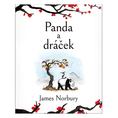 Panda a dráček