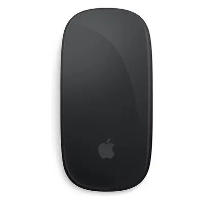 Apple Magic Mouse (USB-C) černá Černá