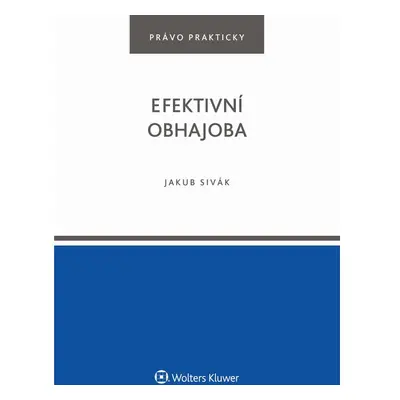 Efektivní obhajoba