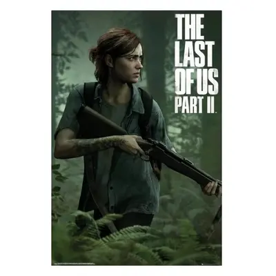 Plakát The Last of Us 2 - Ellie (10)