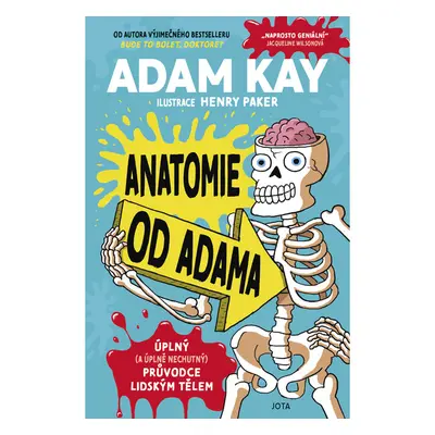 Anatomie od Adama