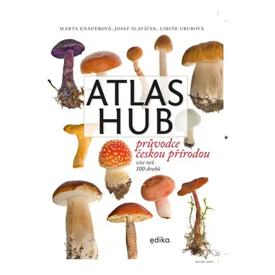 Atlas hub