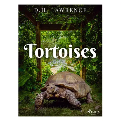 Tortoises