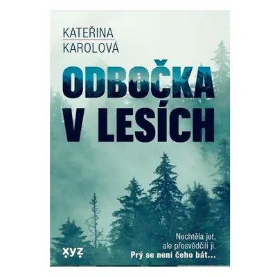 Odbočka v lesích