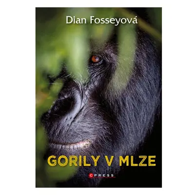 Gorily v mlze