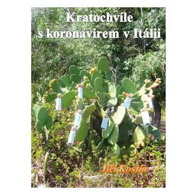 Kratochvíle s koronavirem v Itálii