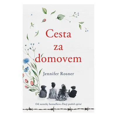 Cesta za domovem