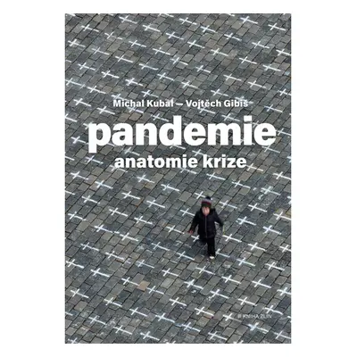 Pandemie: anatomie krize