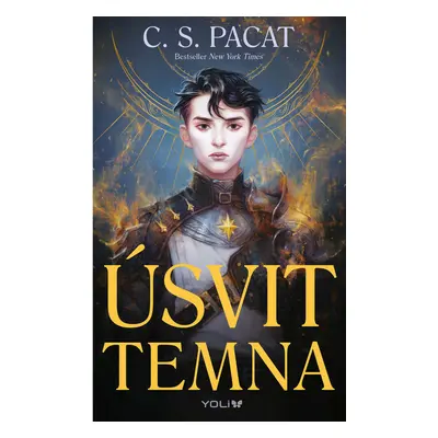 Úsvit temna