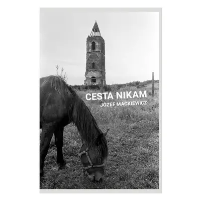 Cesta nikam