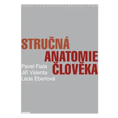 Stručná anatomie člověka