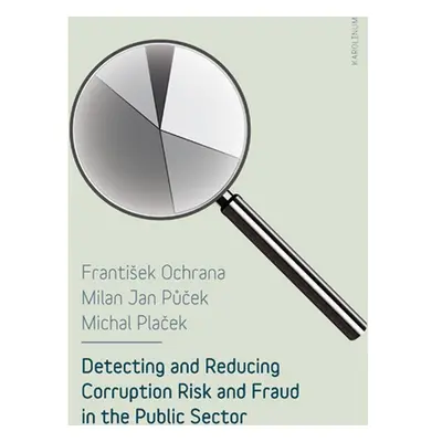 Detecting and reducing corruption risk and fraud in the public sector