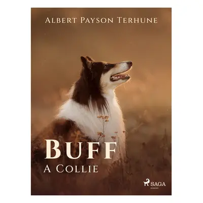 Buff: A Collie