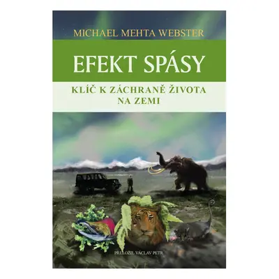 Efekt spásy