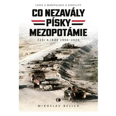 Co nezavály písky Mezopotámie