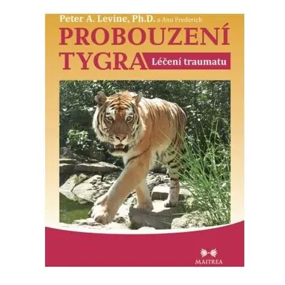 Probouzení tygra