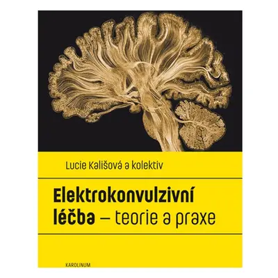 Elektrokonvulzivní léčba – teorie a praxe