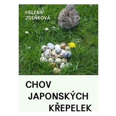 Chov japonských křepelek