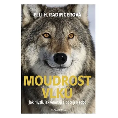 Moudrost vlků