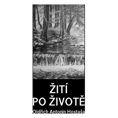 Žití po životě