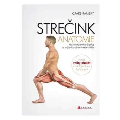 Strečink - anatomie