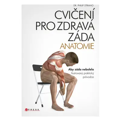 Cvičení pro zdravá záda - anatomie