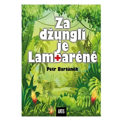 Za džunglí je Lambaréné