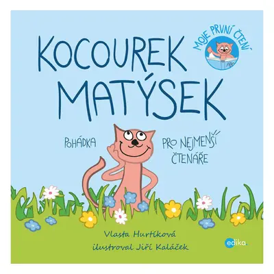 Kocourek Matýsek