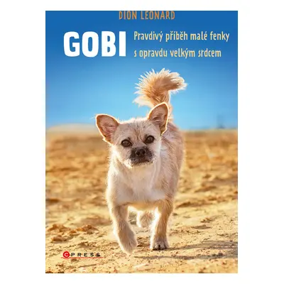 Gobi