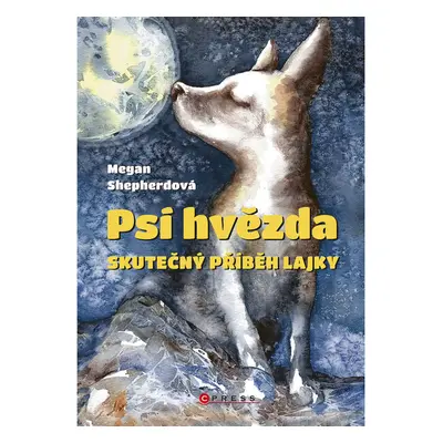 Psí hvězda