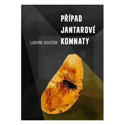 Případ Jantarové komnaty