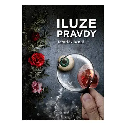 Iluze pravdy