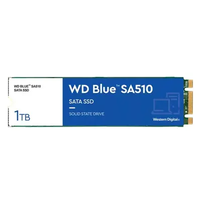 WD Blue SA510 1TB, WDS100T3B0B