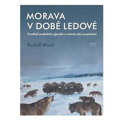 Morava v době ledové