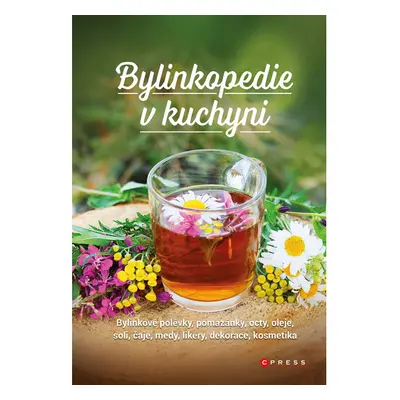 Bylinkopedie v kuchyni